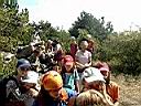 S2402126.JPG